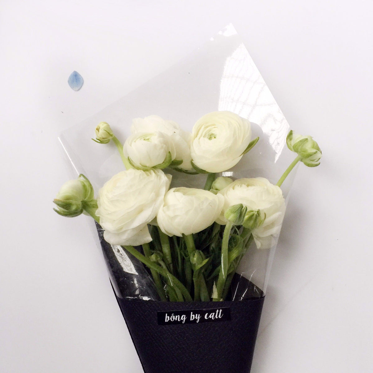Gift